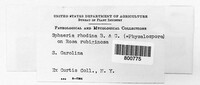 Image Associated With the Occurence